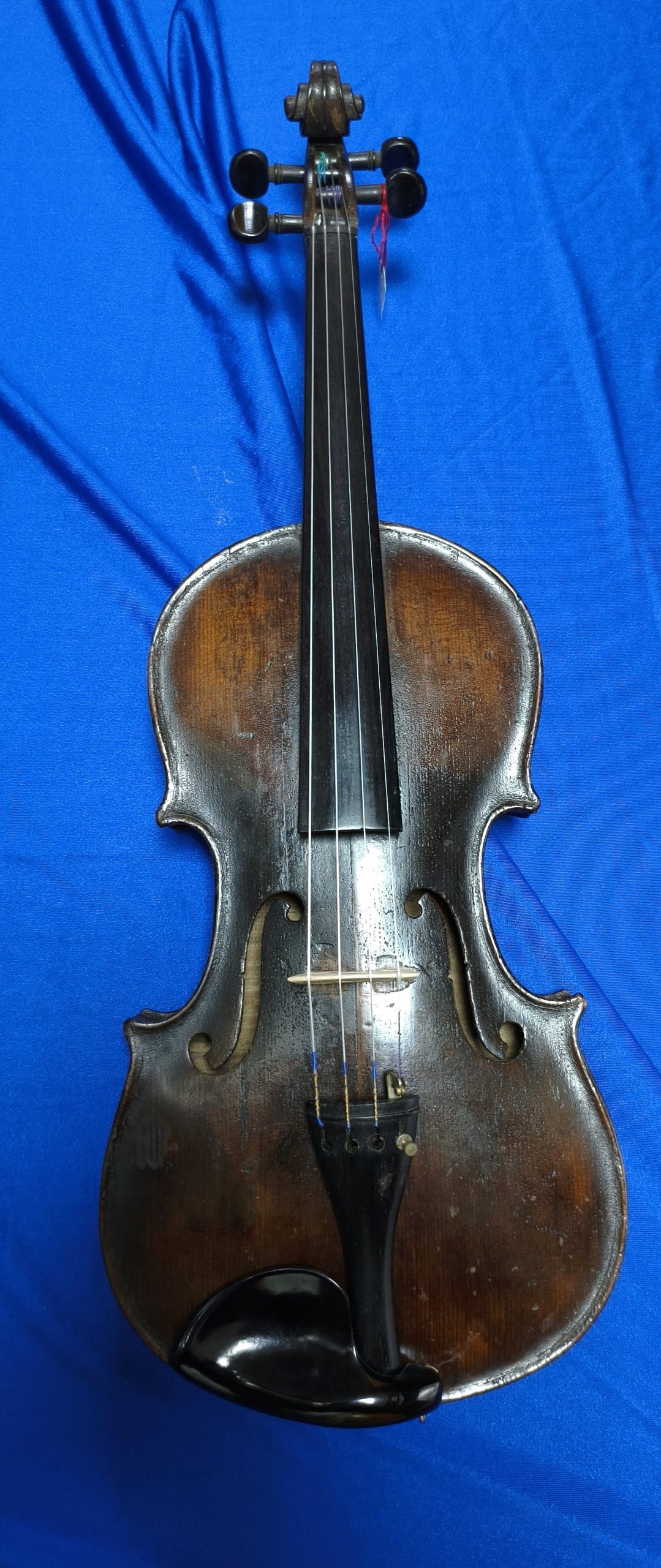 Violin 10045035
