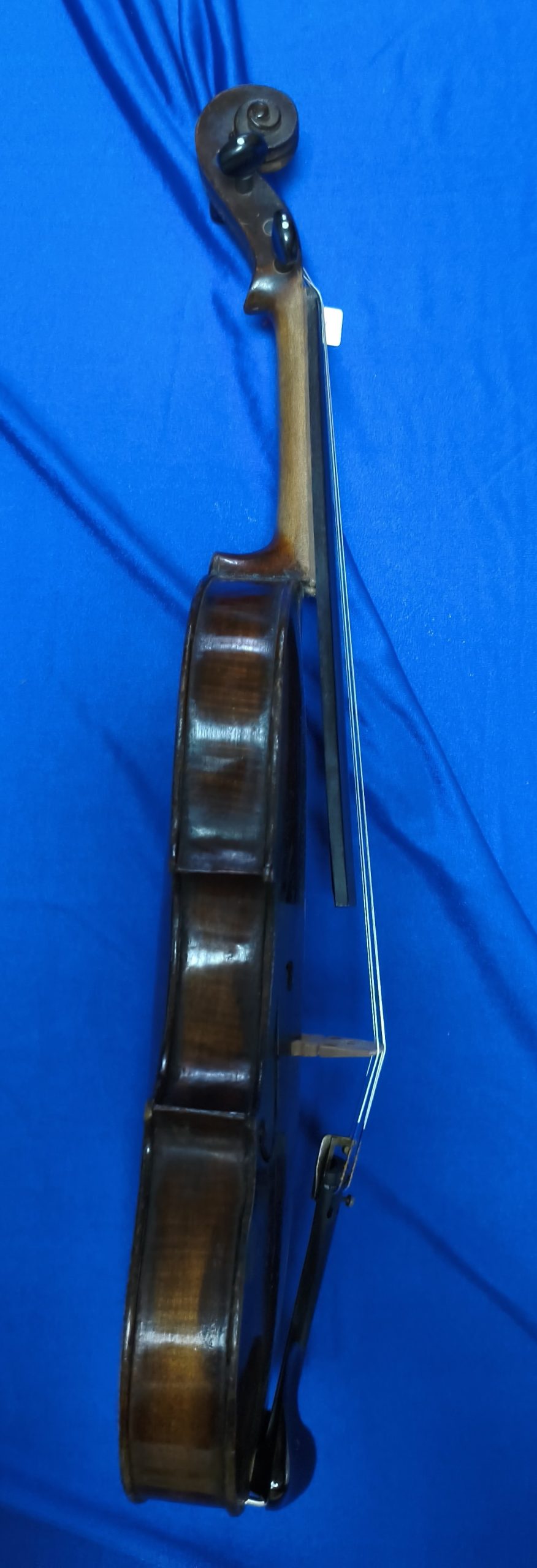 Violin 10045035 - Image 4