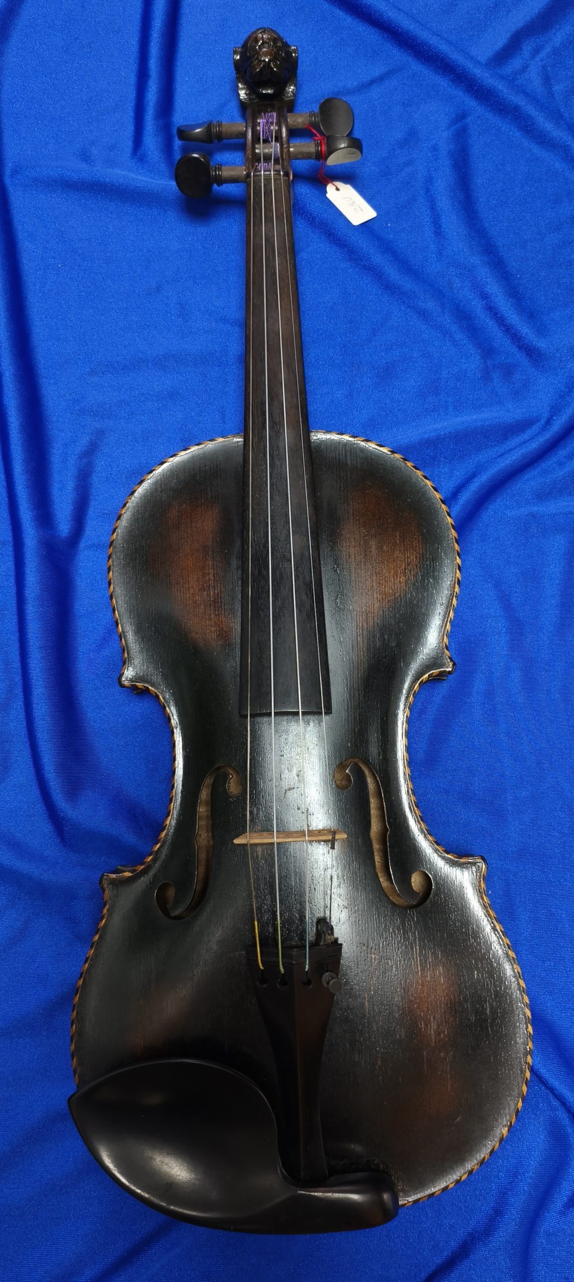 Violin 10142041