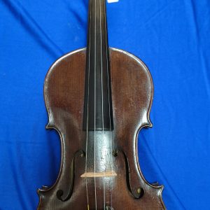 Violin 10144043