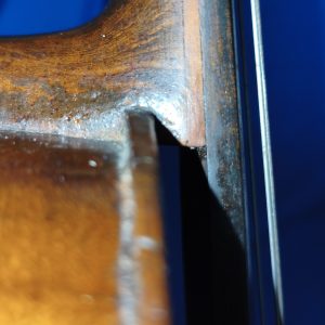 Violin 10240066