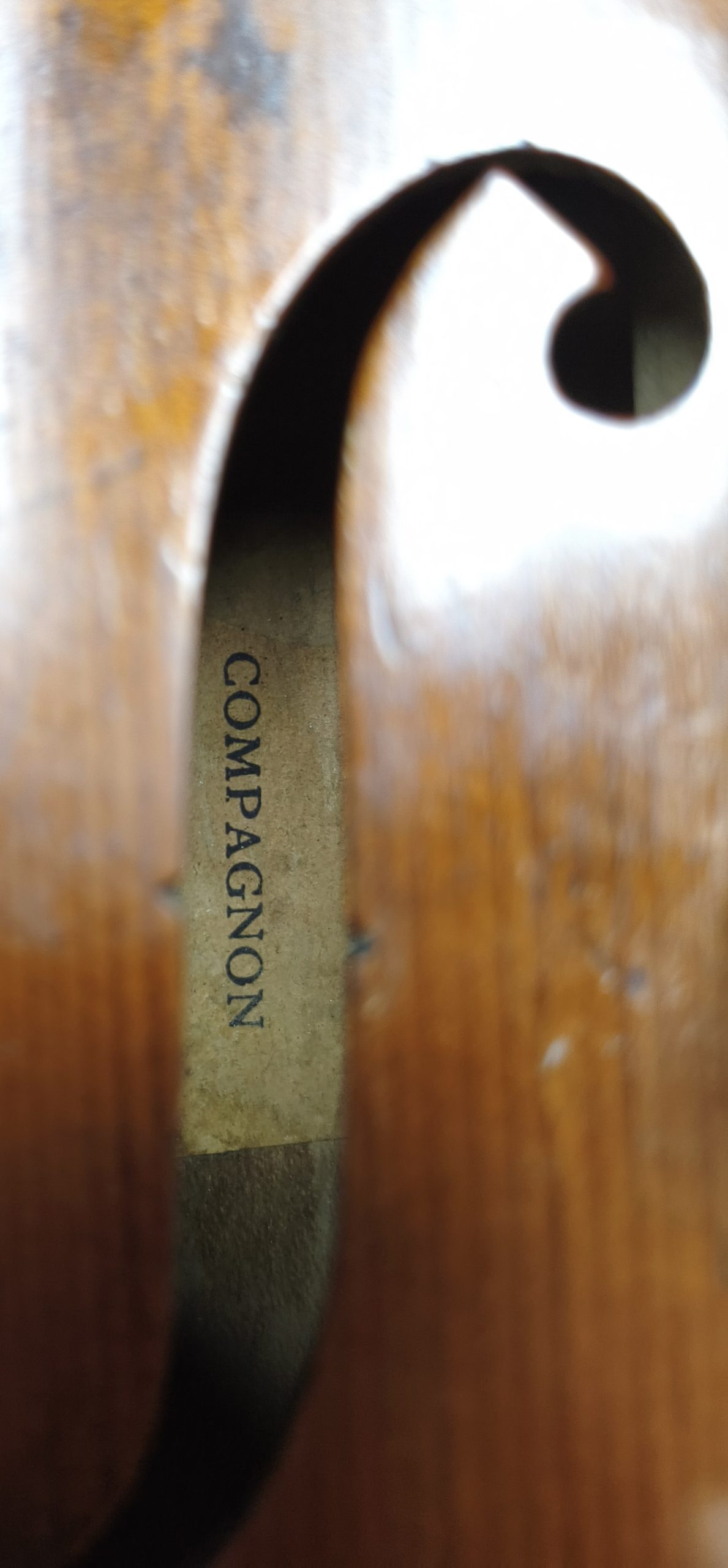 Violin 10340028 - Image 5
