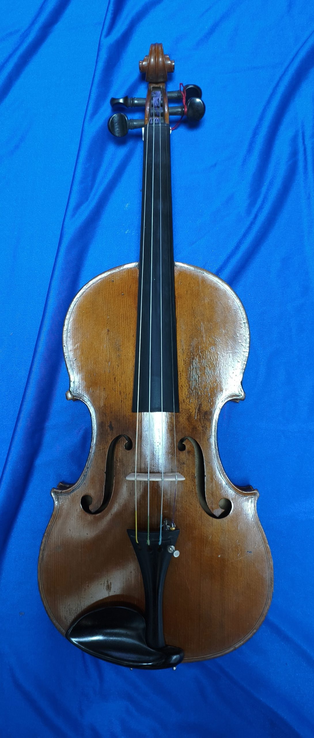 Violin 10340028