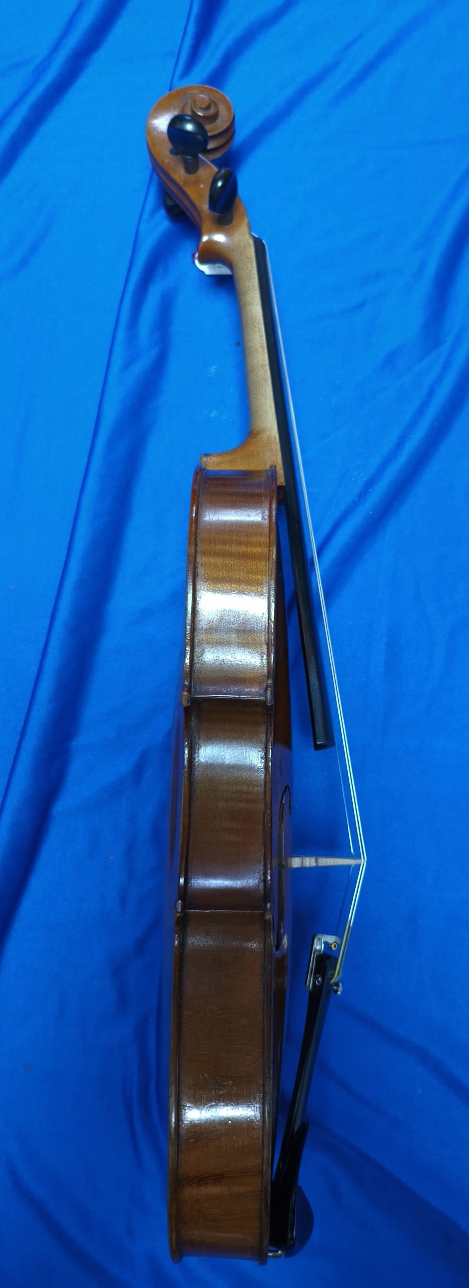 Violin 10340028 - Image 4