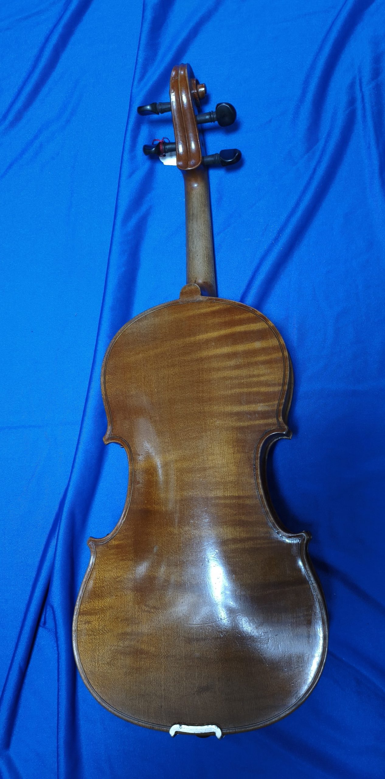 Violin 10340028 - Image 3