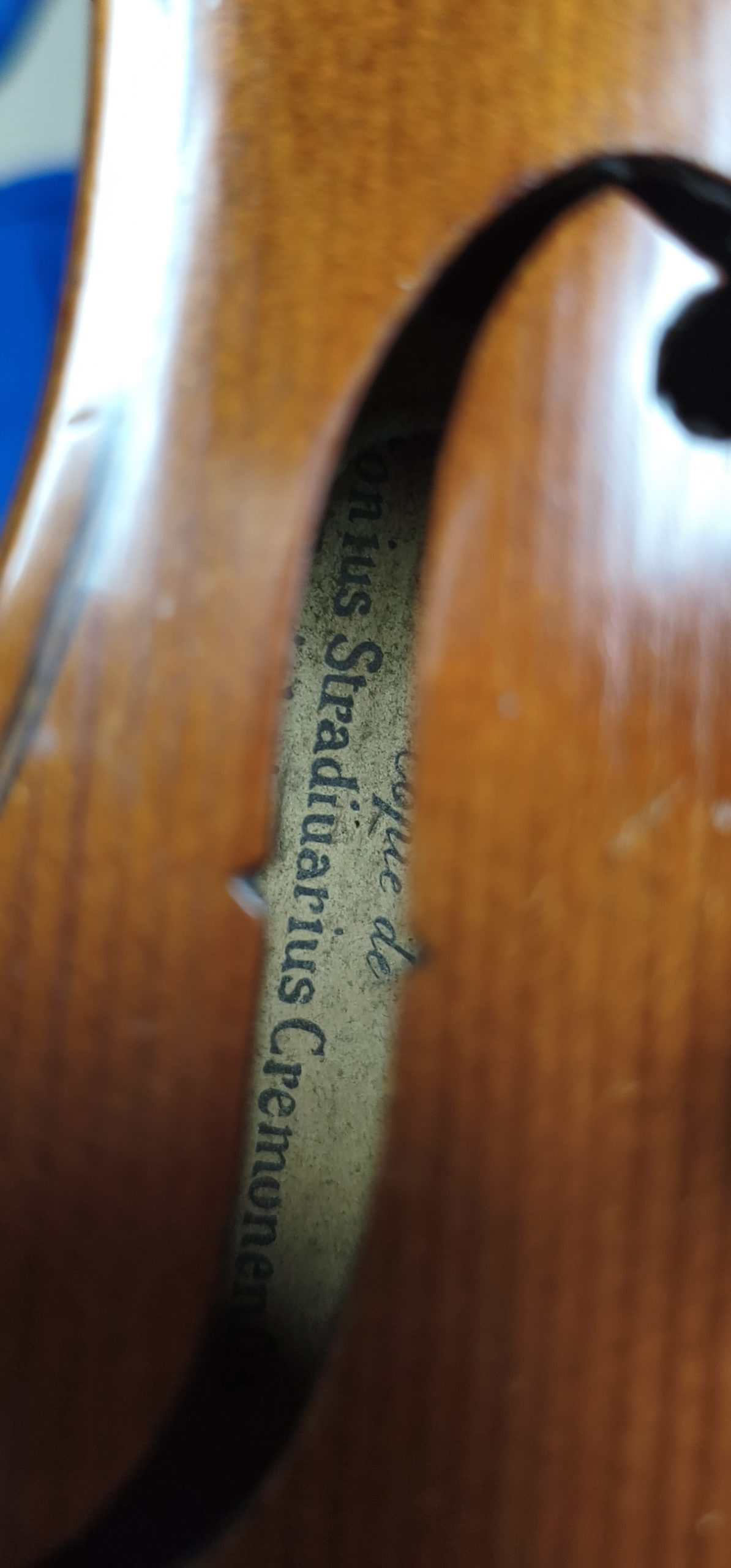 Violin 10351033 - Image 5