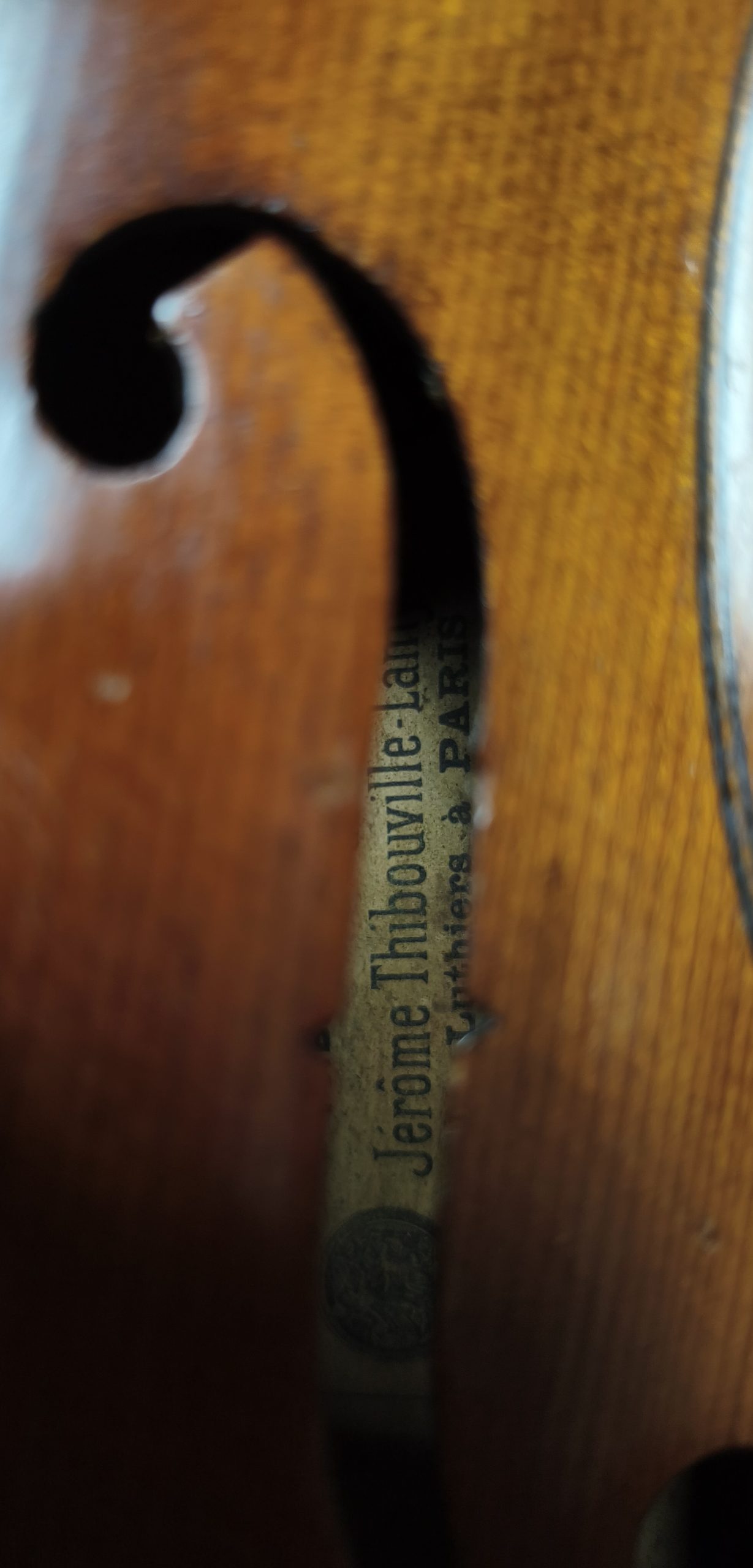 Violin 10351033 - Image 6