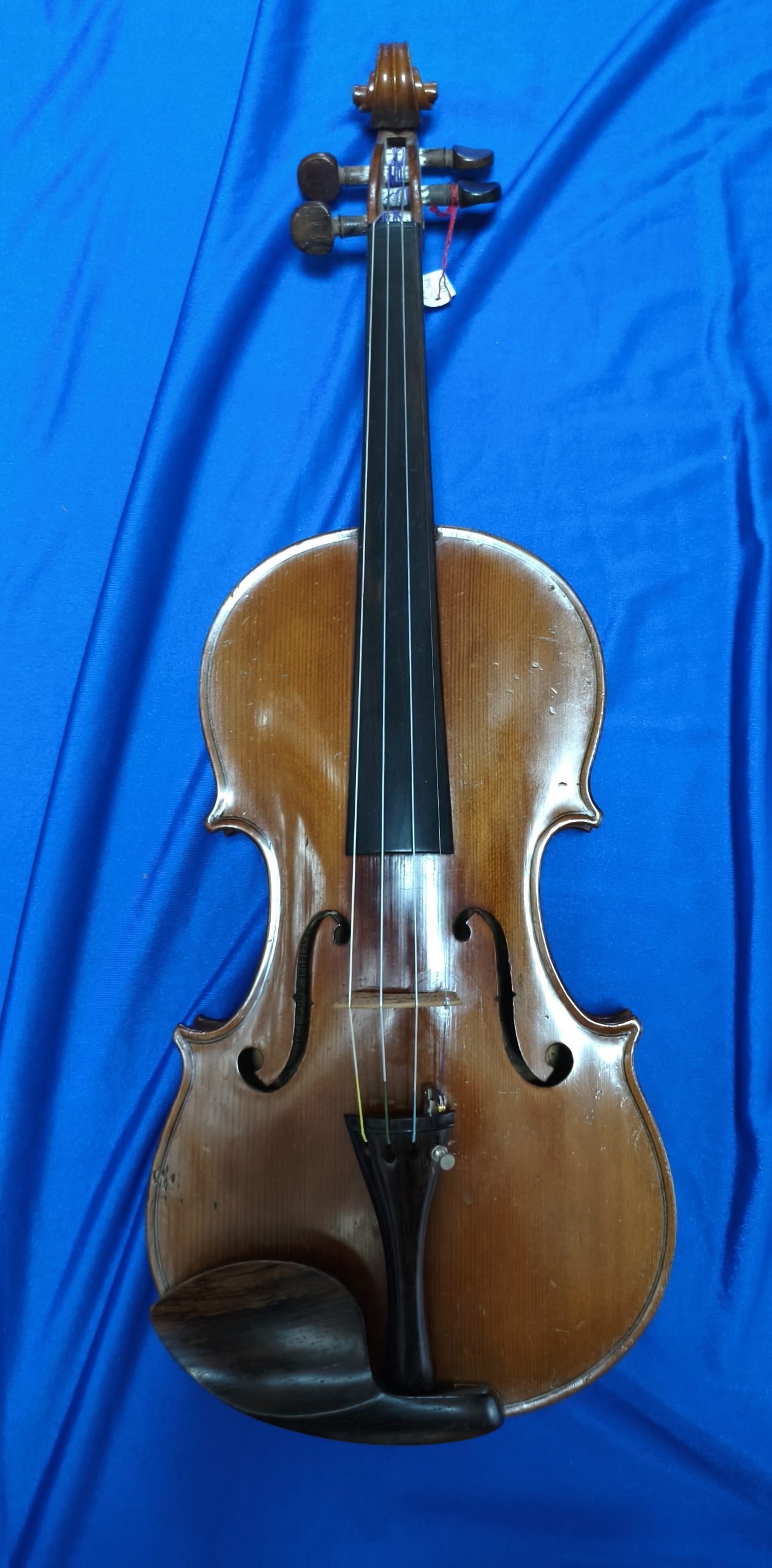 Violin 10351033